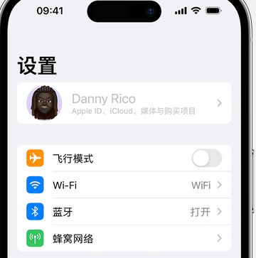 三山appleID维修服务iPhone设置中Apple ID显示为灰色无法使用 