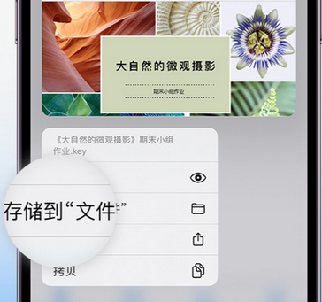 三山apple维修中心分享iPhone文件应用中存储和找到下载文件