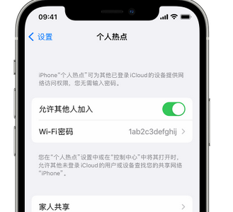 三山apple服务站点分享iPhone上个人热点丢失了怎么办 