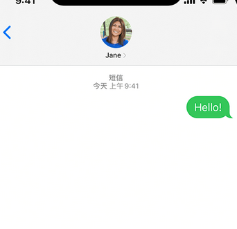 三山apple维修iPhone上无法正常发送iMessage信息