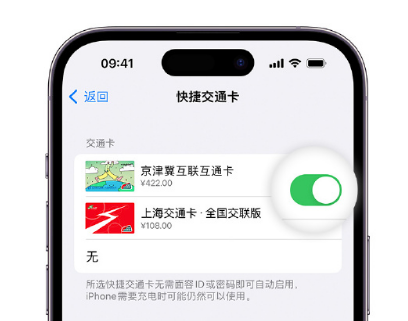 三山apple维修点分享iPhone上更换Apple Pay快捷交通卡手绘卡面 