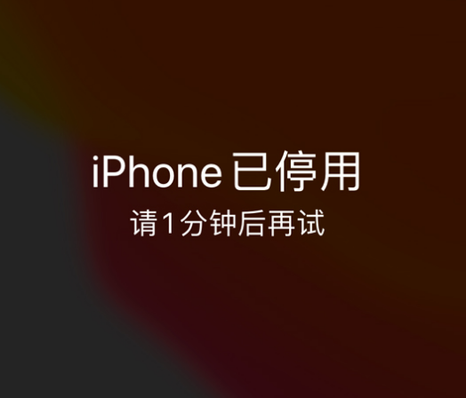 三山苹果手机维修分享:iPhone 显示“不可用”或“已停用”怎么办？还能保留数据吗？ 