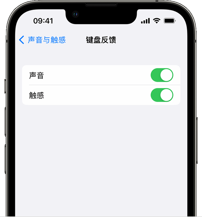 三山苹果14维修店分享如何在 iPhone 14 机型中使用触感键盘 