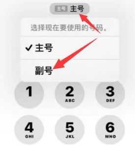 三山苹果14维修店分享iPhone 14 Pro Max使用副卡打电话的方法 