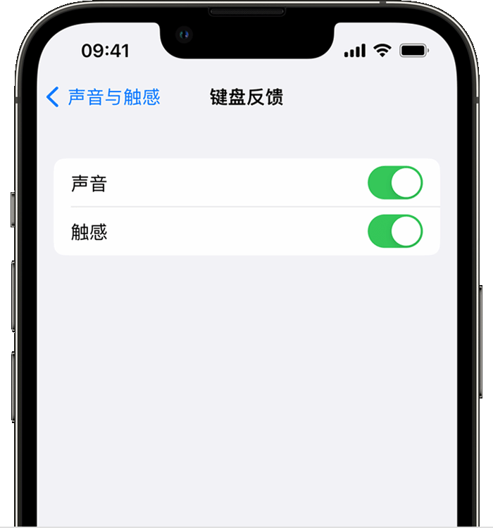 三山苹果14维修分享iPhone 14 系列机型如何开启键盘声音或触感反馈 