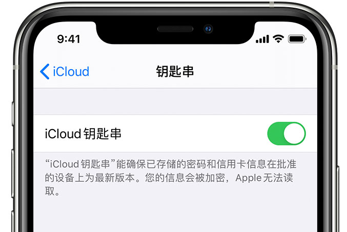 三山苹果手机维修分享在 iPhone 上开启 iCloud 钥匙串之后会储存哪些信息 