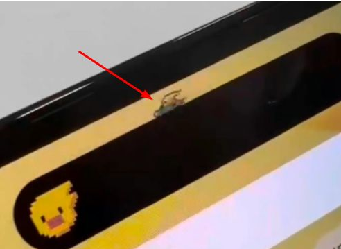 三山苹果14维修分享iPhone 14 Pro Max灵动岛怎么养宠物 