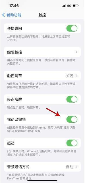 三山苹果手机维修分享iPhone手机如何设置摇一摇删除文字 