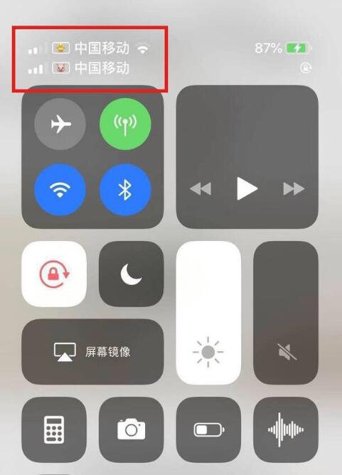 三山苹果手机维修分享为 iPhone 12 双卡设置标签 